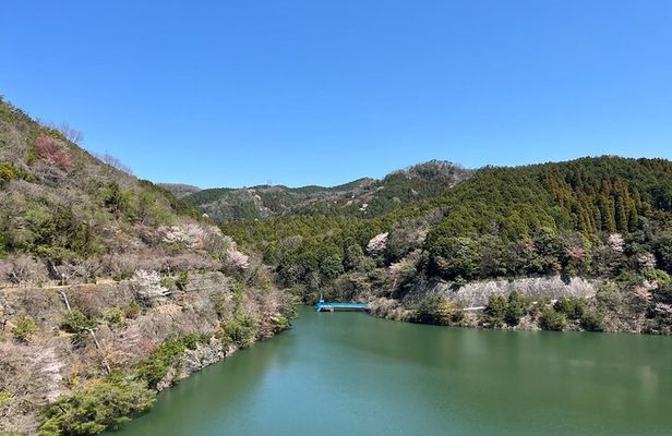 Private E-bike Adventure in Osaka's Hills