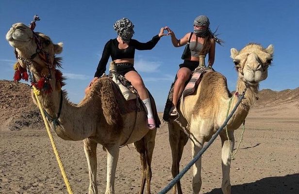 Half Day Desert Quad & jeep Safari Adventure in Hurghada