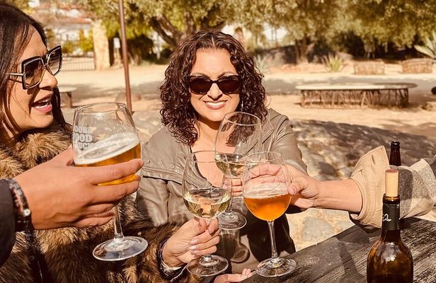Private Curated Wine Tour in Valle de Guadalupe 