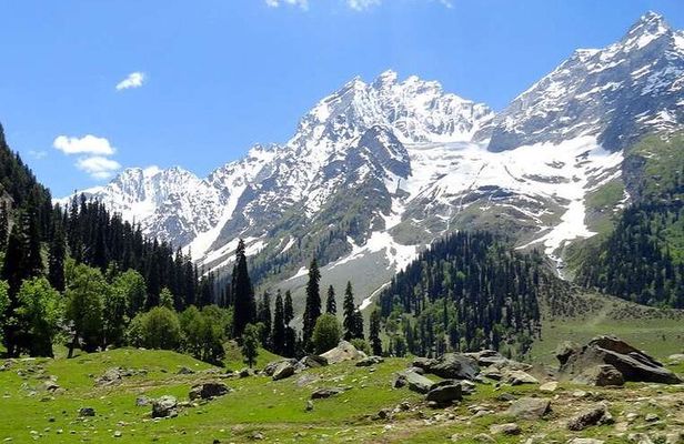 Sonamarg Day Tour to Meadows Glaciers Rivers and Valleys