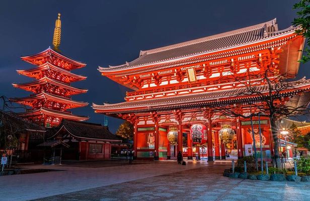 Private Customizable Tokyo City Tour with Highlights