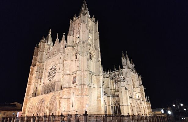 Lion: Private tour in English, Italian or Spanish.