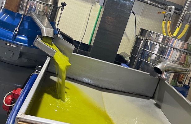 Private -Heraklion -Cooking Class Experience