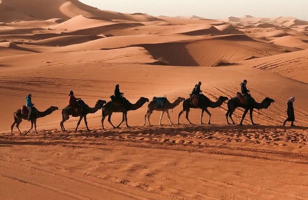 3 Day Sahara Tour from Marrakech to Merzouga with Camel Ride