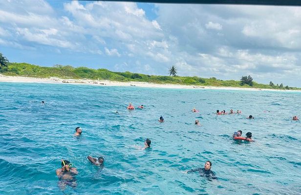Discover Catalina Island from Punta Cana DR An Escape Journey