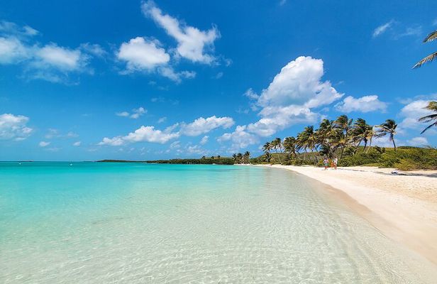 Contoy Island Tour with Untouched Paradise and Beach Day