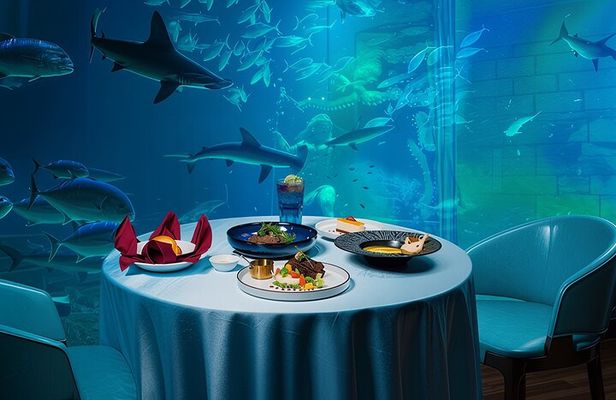 VinWonders & VinSafari & Lunch with Aquarium View
