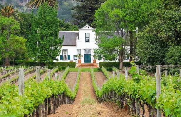Half-Day Stellenbosch Winelands Tour from Cape Town