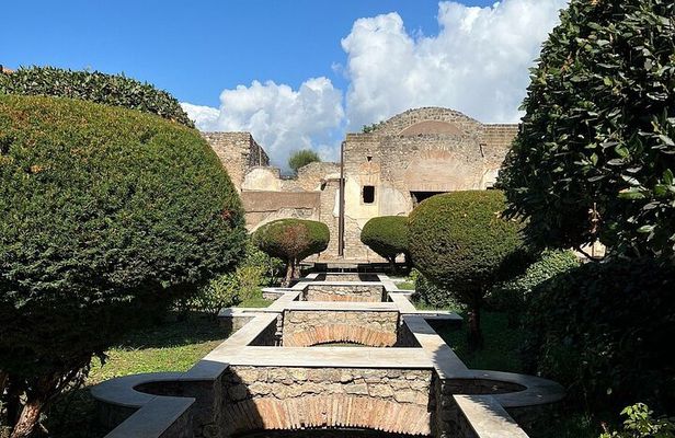 Pompeii with an Archaeologist Shared or Private Tour from Salerno