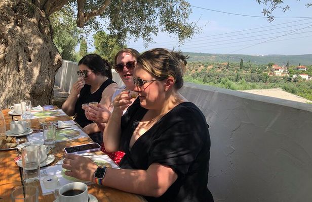 Family Olive Grove Olive Oil Tasting Experience in Messinia