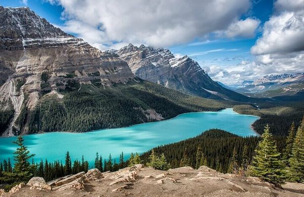 Along Icefields Parkway: Peyto Lake, Bow Lake & Columbia Icefield