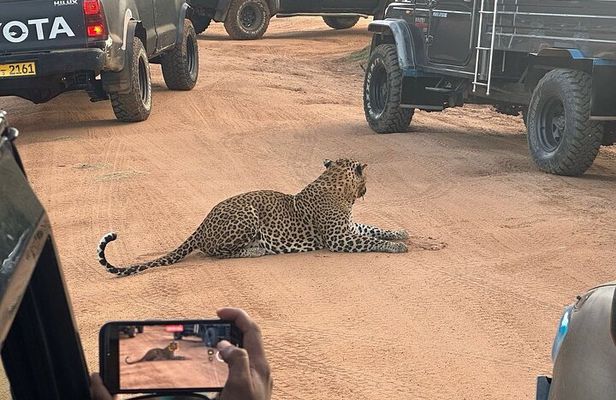 Yala Safari Private tour -4.30am to 12pm.= 44.73$