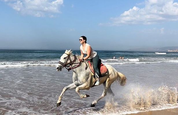 Horse Ride Taghazout Morocco