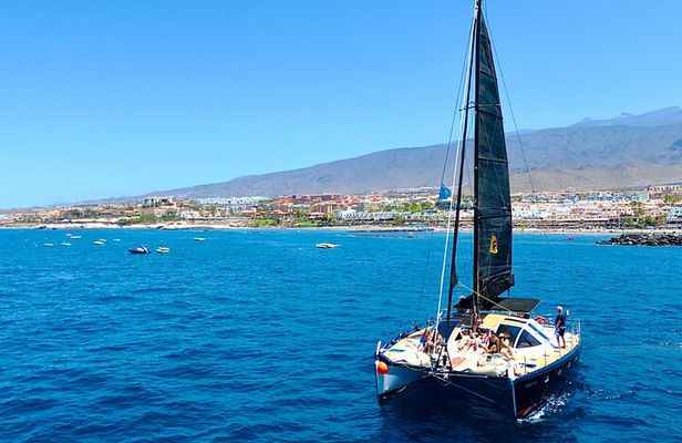 Tenerife Whale Watching in Exclusive 12 seats Chillout Catamaran