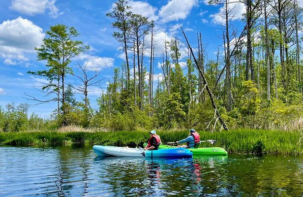 Alligator River Refuge at Buffalo City