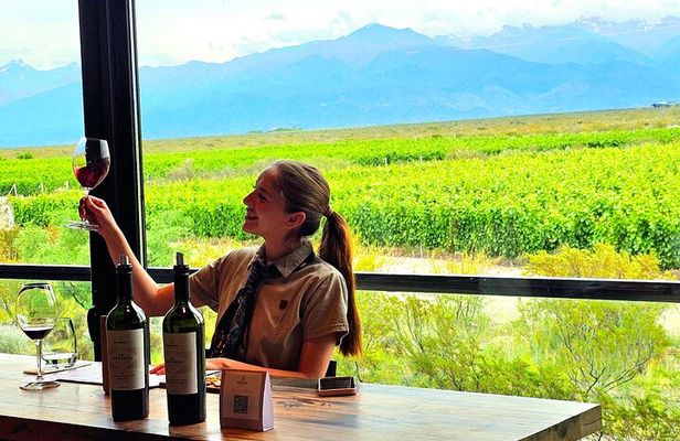 Discover Uco Valley Luxury Tour with Expert Guide Sommelier