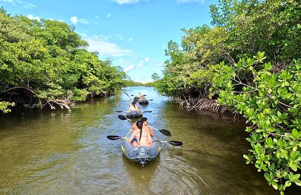 Ft Lauderdale Snorkel Reefs, Kayak/SUP Mangroves, Snacks & Drinks
