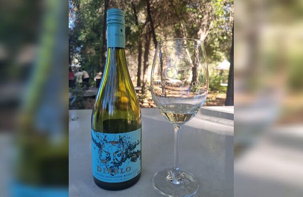 Private Transportation from Santiago Tour Viña Concha y Toro and Museum