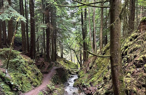 E-Bike Tour to Puck's Glen and Hidden Waterfalls