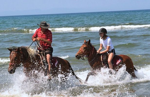 Kusadasi Horse Safari with Ride along Pamucak Beach