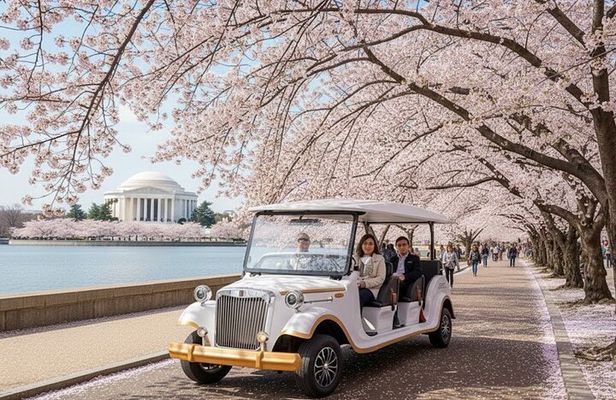 Washington DC Monument's Cherry Blossom Guided E-Cart Tour