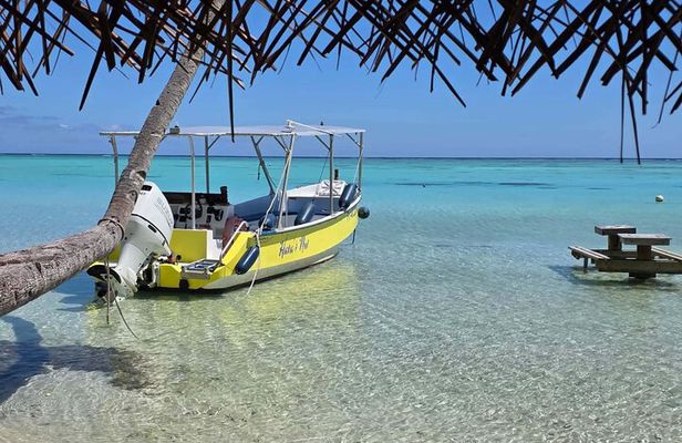 Day discovery of Tahaa vanilla beads rum and snorkeling