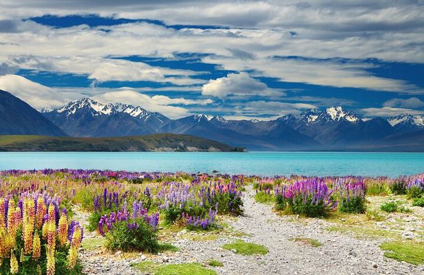 Queenstown to Lake Tekapo: One-Way Scenic Private Transfer