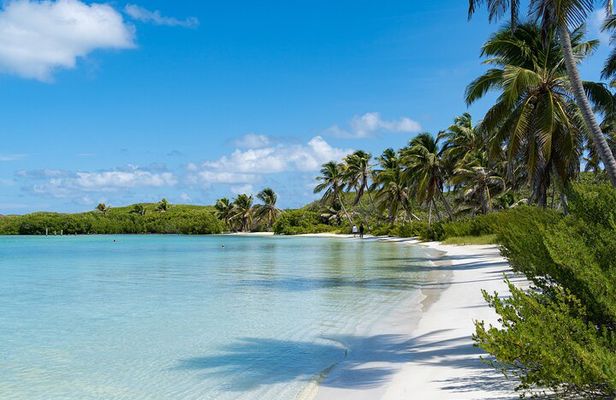 Private Isla Contoy and Isla Mujeres Tour with Snorkeling