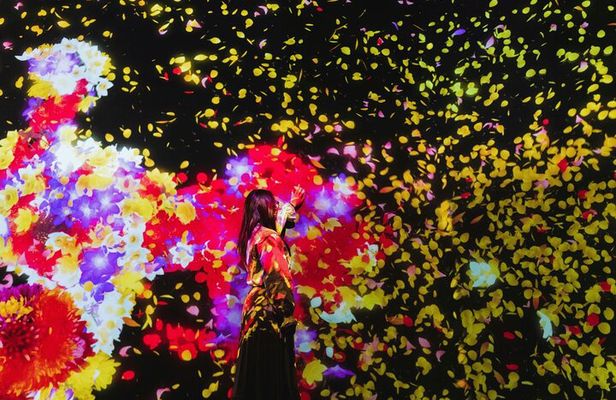 TeamLab Planets Art and Tsukiji Market Food Tour in Tokyo