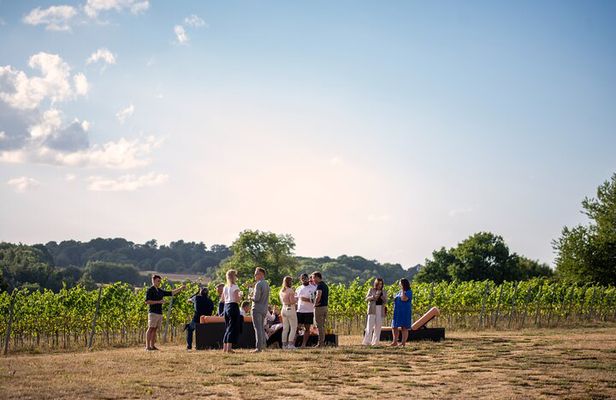 Henley Wine Tour: Explore 3 Boutique Vineyards with Lunch