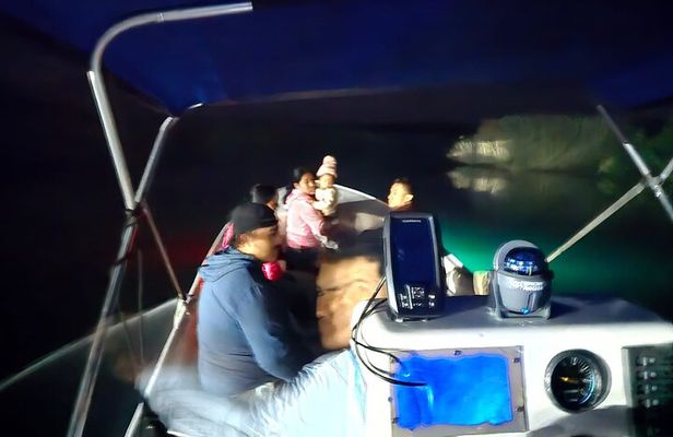 Bioluminescence Night Tour in Hopkins, Belize