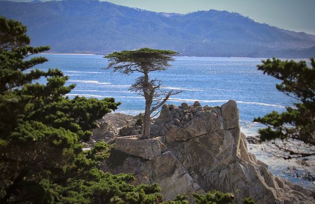 Monterey, Pebble Beach and Carmel Tour With Optional Aquarium