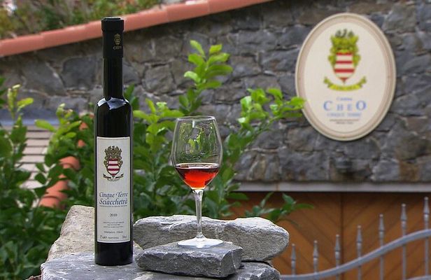 Wine Tasting Experience at Torre Bertram