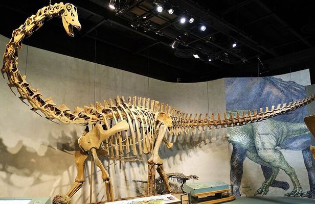 Denver Museum of Nature and Science Ticket and Audio Tour