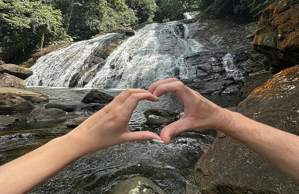 Sinharaja Rainforest Nature Tour with Experienced Local Guide