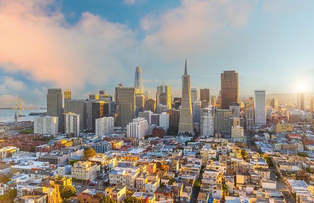 San Francisco Private Tour Muir Woods and Sausalito Day Trip