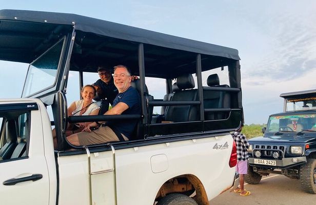 Full Day Safari Jeep Tours