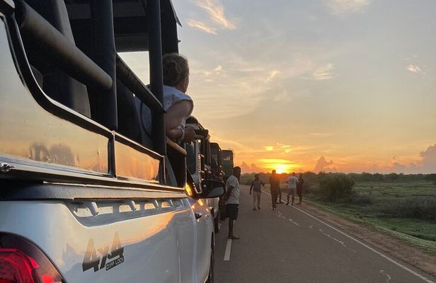 Half Day Safari Jeep Tours