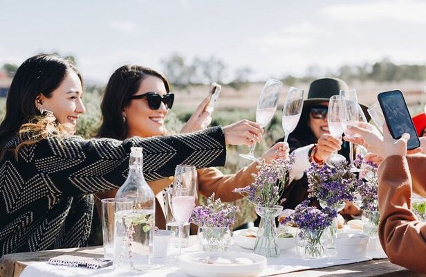 Shore Excursion: Lavender Fields, Valle Views with pickup dropoff