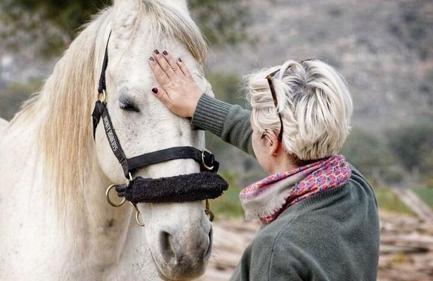 Discover Horse Whispering in the Jaipur Countryside
