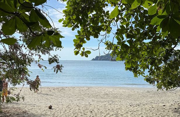 From San José: Private Manuel Antonio Day Trip & Oceanfront Lunch