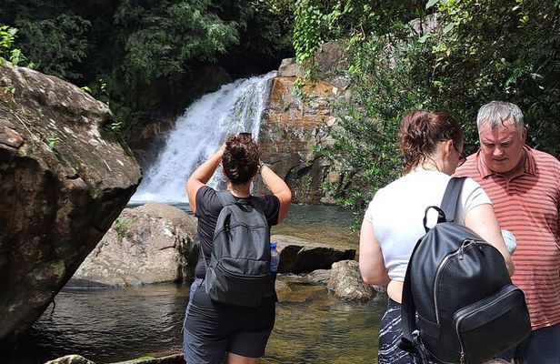 03 Days Sinharaja Rainforest Private Tour - All Including