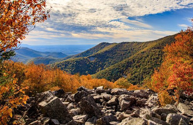Shenandoah Private Skyline Drive Day Tour From Washington DC
