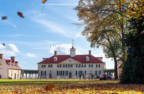 From Washington DC Mount Vernon and Alexandria Private Day Tour