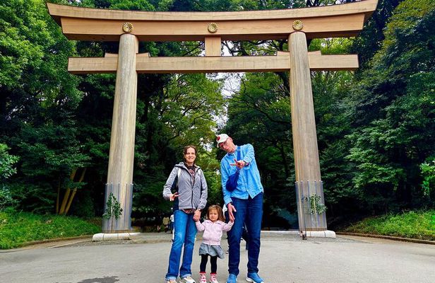 Private Walking Tour in Tokyo - See all Highlights in 1 Day