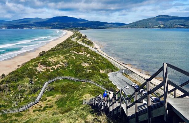 Bruny Island & The Margate Train: Food, Wildlife & Coastal View