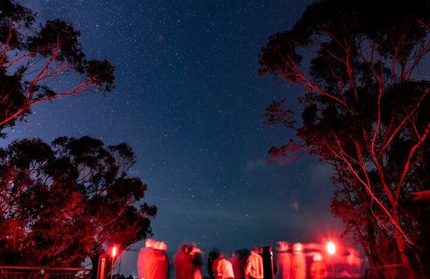Riverside Canberra Stargazing Tour with Astronomer