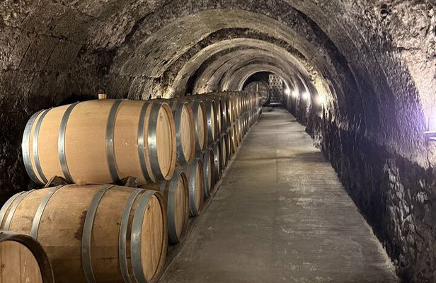 From Madrid to Ribera del Duero Vineyards and Towns Reconditos