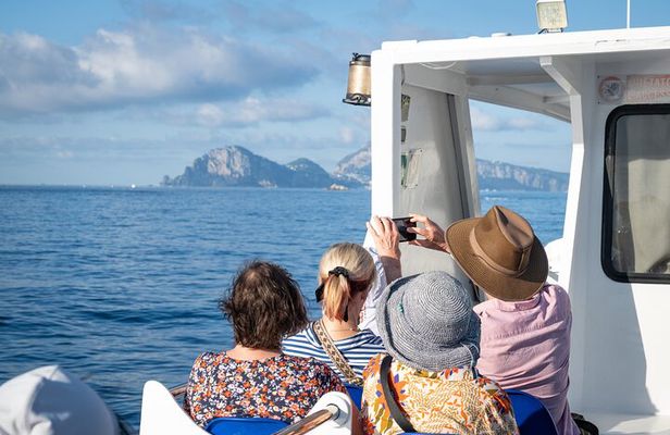 Capri, Anacapri and Grottoes Full Day Island Escape from Sorrento