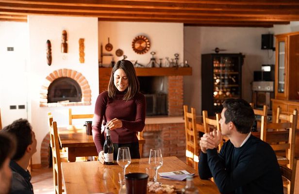 Wine tasting with cellar tour between Verona and Lake Garda